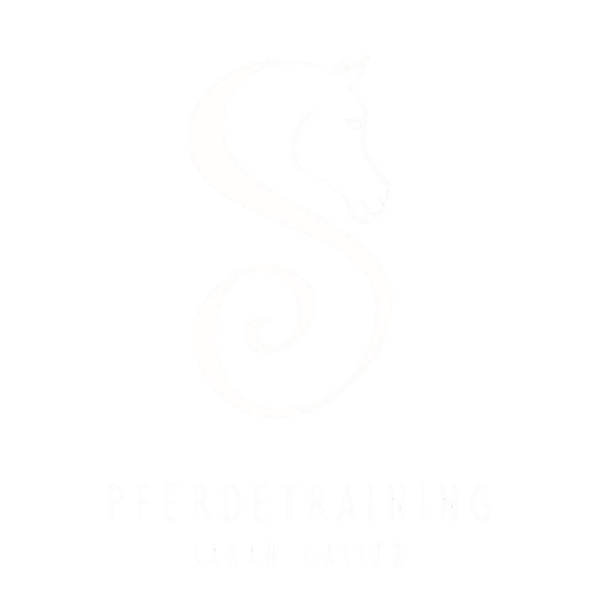 Sarah's Pferdetraining